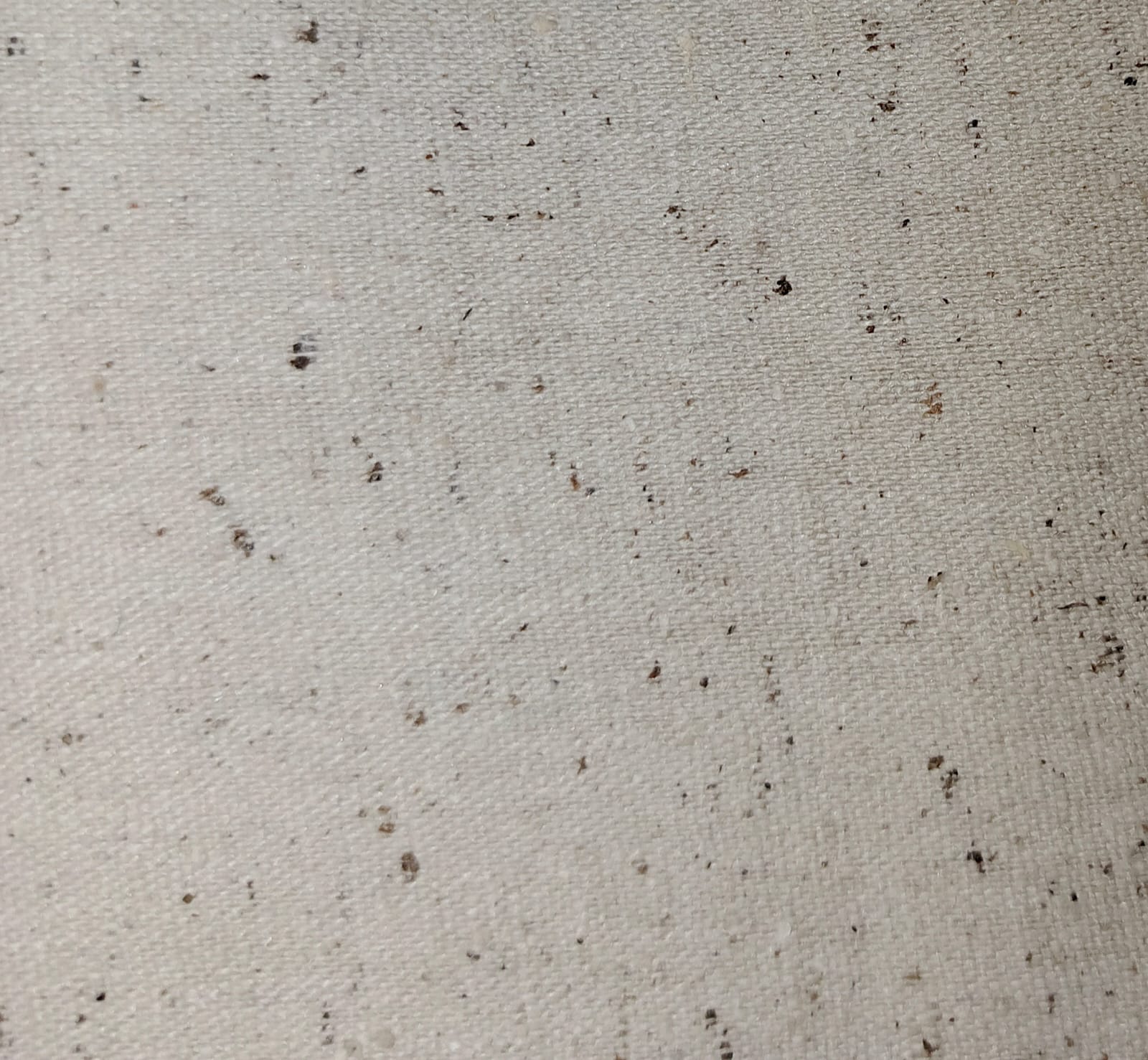 Orginal Allah Wasaya Karandi (Dane Wali)